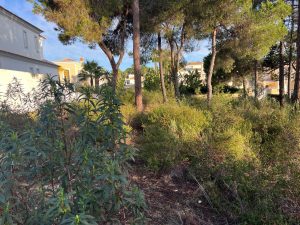 Urban plot between Vale do Lobo and Quinta do Mar